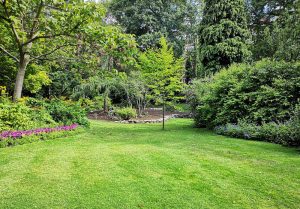 Optimiser l'expérience du jardin à Saint-Laurent-de-Cognac