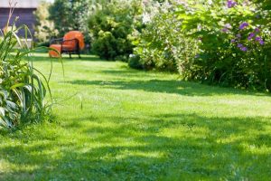 travaux jardin et paysage Saint-Laurent-de-Cognac